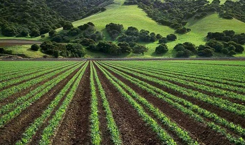 土壤養(yǎng)分快速分析儀測量結(jié)果的準(zhǔn)確性如何?