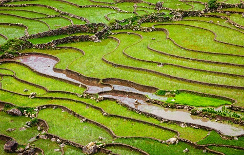 土壤水勢測定儀的主要作用(為什么要用土壤水勢儀測量？)