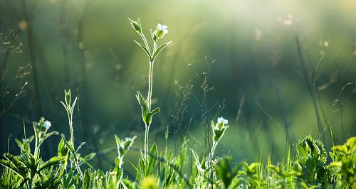 土壤墑情監(jiān)測站的作用是什么（為何大規(guī)模推廣的土壤墑情監(jiān)測站？）