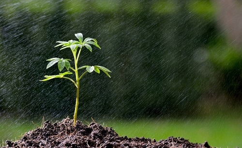 土壤水分測(cè)試儀監(jiān)測(cè)農(nóng)田墑情！用土壤墑情測(cè)試儀如何做好墑情監(jiān)測(cè)？