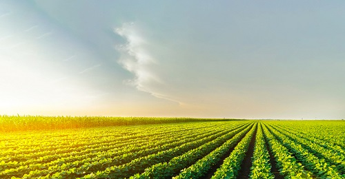 土壤養(yǎng)分快速檢測儀使用方法詳情