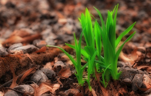 一文講解土壤肥料速測儀的特別之處