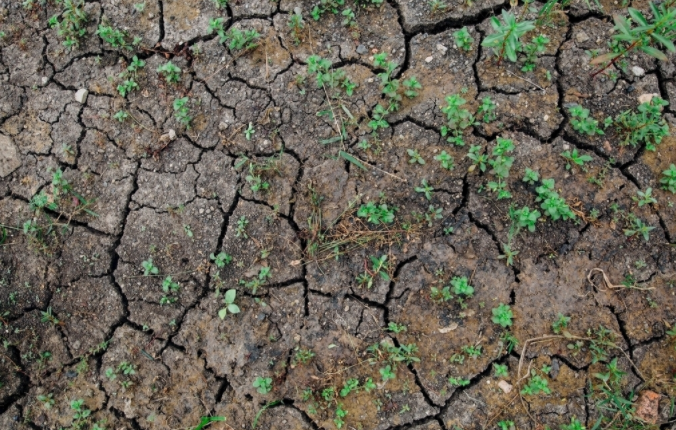 智能土壤養(yǎng)分測試儀的使用方法（以土壤銨態(tài)氮檢測為例）