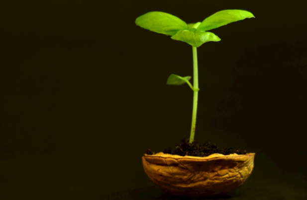 土壤氮磷鉀養(yǎng)分快速分析儀應(yīng)用領(lǐng)域（土壤氮磷鉀養(yǎng)分速測儀的實用性介紹）