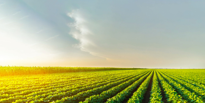 用土壤檢測儀測定土壤酸堿度時需要注意什么？（土壤pH檢測儀使用須知 ）