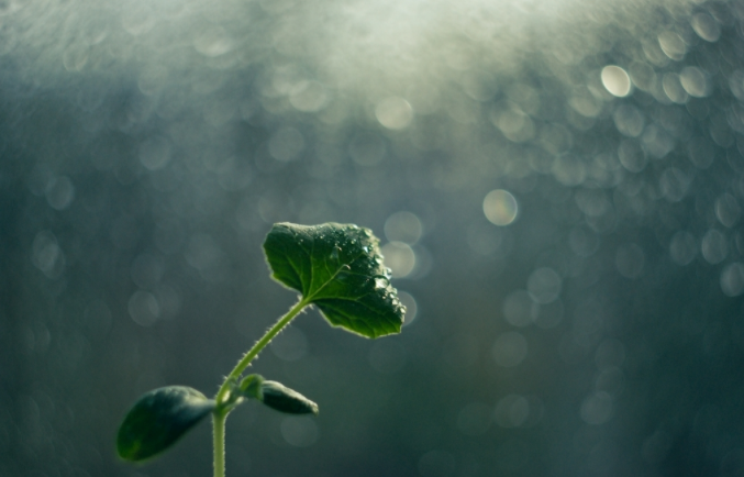 挑選土壤pH(酸堿度)檢測儀，看這里！品牌種草大賞！