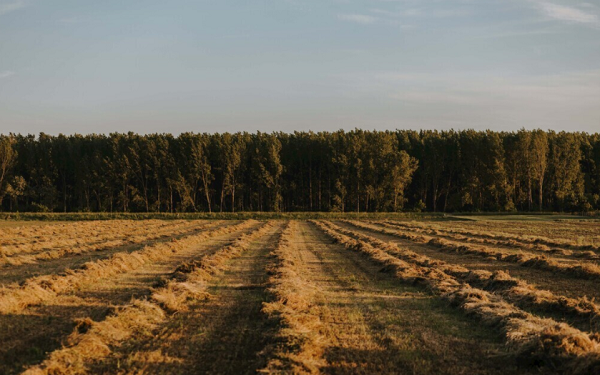 土壤墑情速測(cè)儀服務(wù)種植管理，推動(dòng)現(xiàn)代農(nóng)業(yè)健康發(fā)展