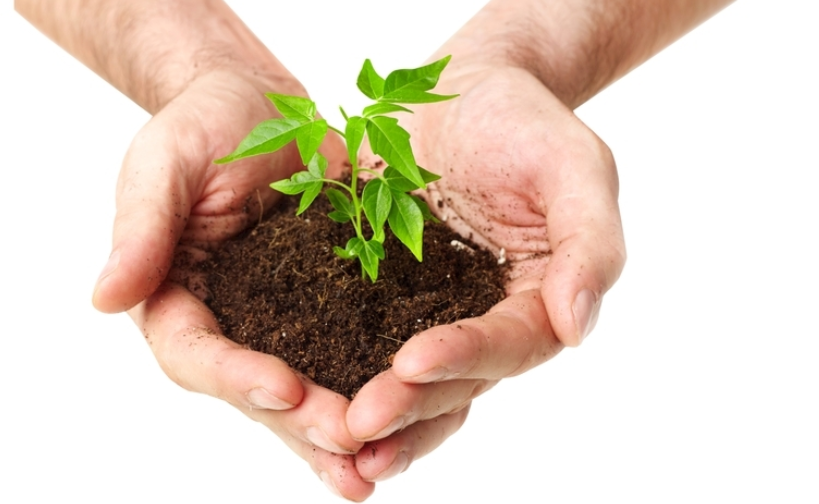 土壤pH檢測儀什么牌子好？（土壤pH檢測儀品牌推薦）