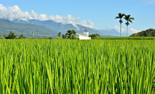 土壤肥料養(yǎng)分速測(cè)儀為土壤定制施肥“配方”