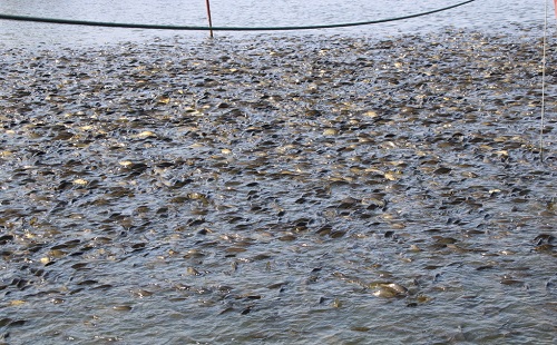 土壤養(yǎng)分檢測儀在農(nóng)業(yè)生產(chǎn)中的用處，又不僅僅是農(nóng)業(yè)