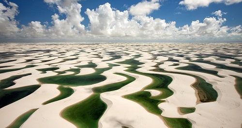 土壤肥料養(yǎng)分檢測(cè)儀深入了解作物實(shí)際情況