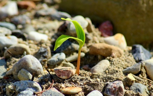 土壤養(yǎng)分速測(cè)儀快速檢測(cè)土壤養(yǎng)分