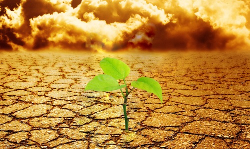 土壤緊實(shí)度測(cè)定儀在農(nóng)業(yè)生產(chǎn)中的重要作用