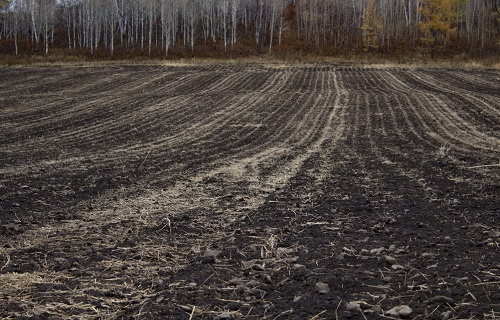 高級(jí)農(nóng)藝師：“加大土壤改良科技投入”土壤養(yǎng)分檢測(cè)儀的指導(dǎo)作用