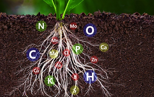 2021升級(jí)型--高精度土壤養(yǎng)分專用快速檢測(cè)儀