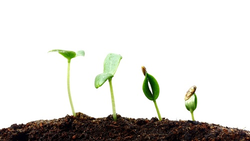 土壤肥料養(yǎng)分速測儀已成為農(nóng)業(yè)中不可或缺的儀器