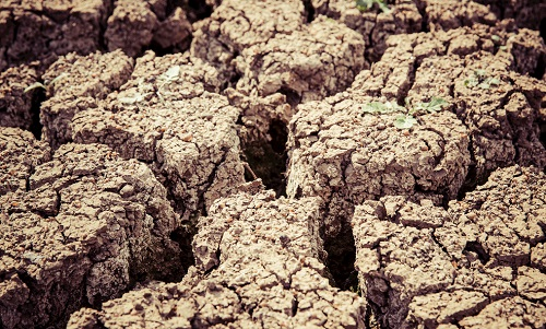 農(nóng)業(yè)旱情不可怕，用對土壤墑情監(jiān)控系統(tǒng)是關(guān)鍵