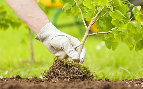 土壤pH檢測儀產(chǎn)品5大優(yōu)點(diǎn)以及指導(dǎo)改良土壤