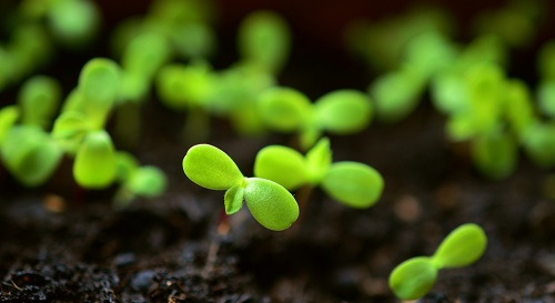 何為【墑情】？土壤墑情測(cè)試儀為抗旱防澇提供數(shù)據(jù)基礎(chǔ)