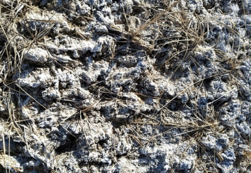 土壤“白色霜”警惕鹽漬化！應(yīng)用土壤鹽分儀判斷土壤是否鹽漬化