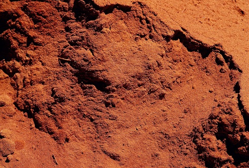 【測(cè)土配方施肥儀】測(cè)土施肥勢(shì)在必行