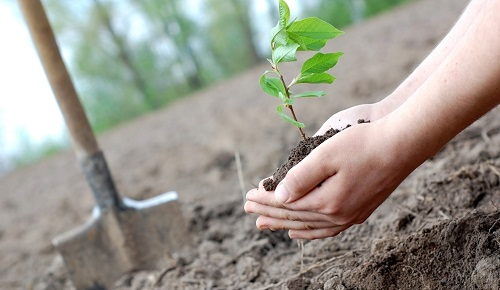 便攜式土壤墑情測(cè)試儀設(shè)計(jì)解析