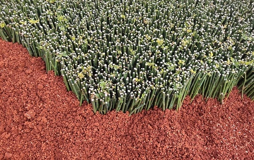 土壤養(yǎng)分測(cè)定儀：快速補(bǔ)充植物養(yǎng)分