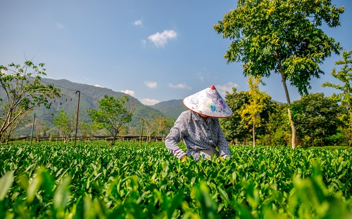 現(xiàn)代精細(xì)農(nóng)業(yè)耕作中常用的土壤工具---多參數(shù)土壤測(cè)量?jī)x智慧種植