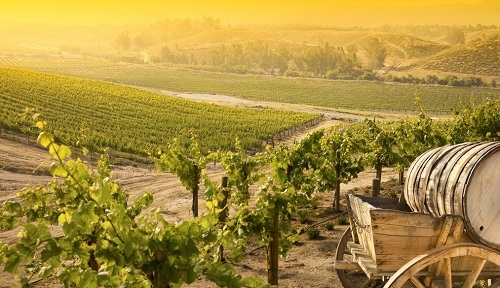 土壤水分溫度測(cè)定儀：精耕細(xì)作的基礎(chǔ)儀器