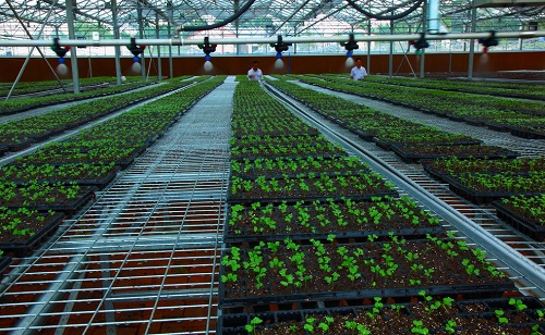 土壤重金屬快速檢測儀的介紹，它有哪些優(yōu)勢？