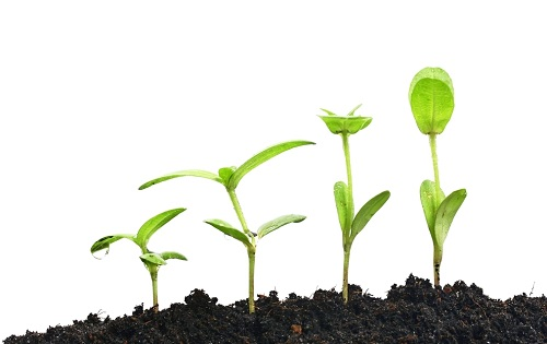 應(yīng)用土壤肥料養(yǎng)分檢測儀了解土壤性質(zhì)，合理搭配施用化肥