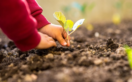 為什么要給土壤做檢測？土壤養(yǎng)分速測儀在土壤養(yǎng)分管理中的重要作用