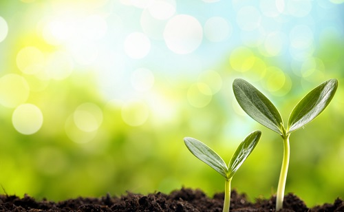 便攜式土壤水分溫度速測儀是一種好用的土壤水分測量工具