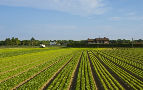 現(xiàn)代農(nóng)業(yè)必不可少的設(shè)備----土壤肥料檢測(cè)儀的“價(jià)值”所在