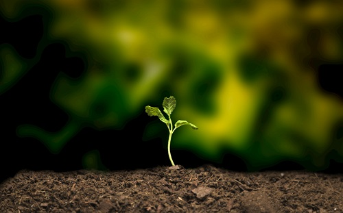 便攜式土壤水分速測(cè)儀優(yōu)勢(shì)體現(xiàn)方面