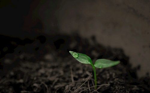 便攜式土壤水分速測(cè)儀優(yōu)勢(shì)體現(xiàn)方面