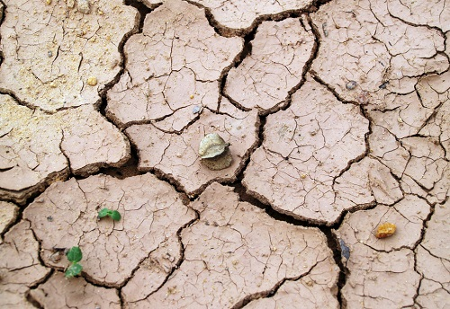 GPS土壤水分速測儀市場前景可盼
