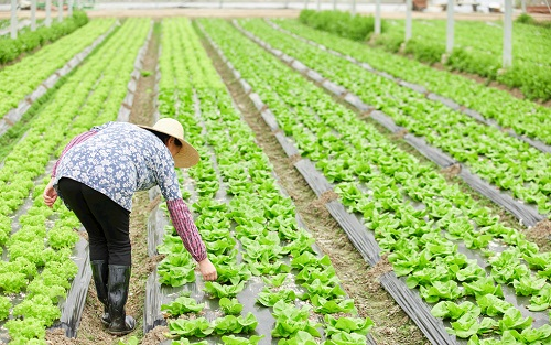 土壤水分監(jiān)測(cè)、精細(xì)土壤監(jiān)測(cè)、精細(xì)土壤改良，只需要一臺(tái)土壤檢測(cè)儀