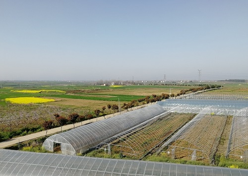 土壤重金屬檢測(cè)儀對(duì)土壤重金屬含量變化了如指掌，活該招人喜歡