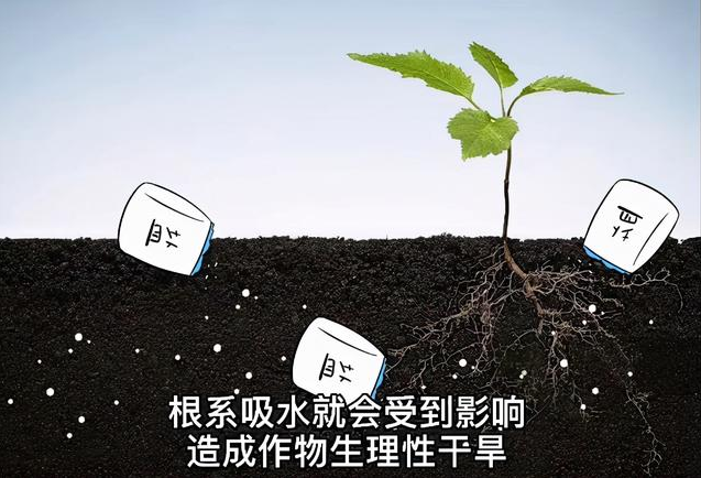 土壤EC值和pH值與作物生長(zhǎng)的關(guān)系，利用土壤鹽分儀緩解土壤鹽漬化