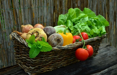 土壤養(yǎng)分（肥料）測(cè)試儀幫助企業(yè)做最真的有機(jī)農(nóng)產(chǎn)品