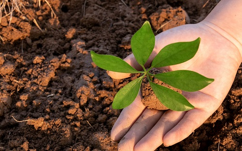土壤重金屬檢測(cè)儀如何選？土壤重金屬檢測(cè)原理的分析