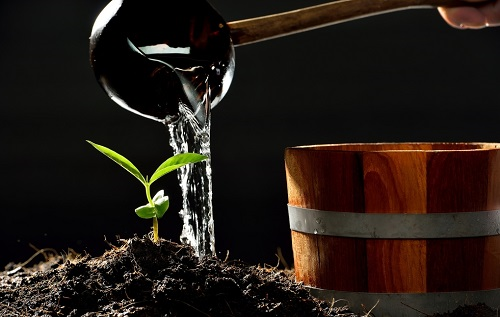 詳解！土壤水分測定儀對不同層次土壤中水分變化情況的分析