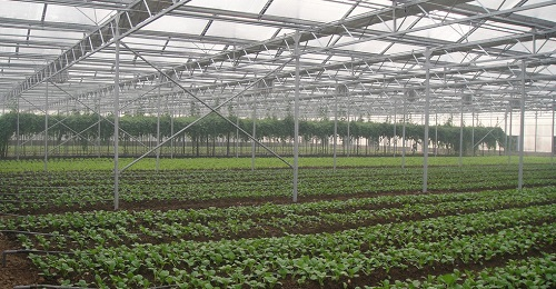 土壤墑情監(jiān)測儀指導(dǎo)農(nóng)戶大棚灌溉