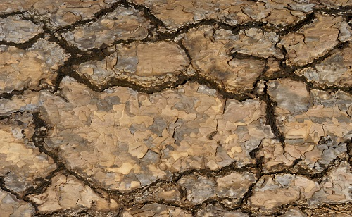 土壤水分快速儀的使用技巧，你get到了嗎？