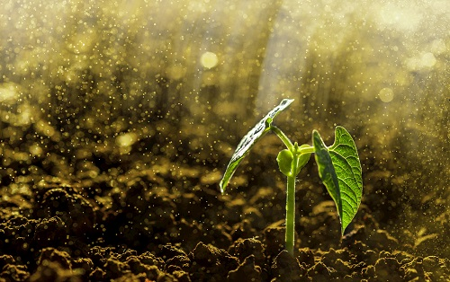 土壤養(yǎng)分速測儀提升農(nóng)業(yè)施肥水平（全項(xiàng)目土壤養(yǎng)分檢測儀產(chǎn)品簡介）