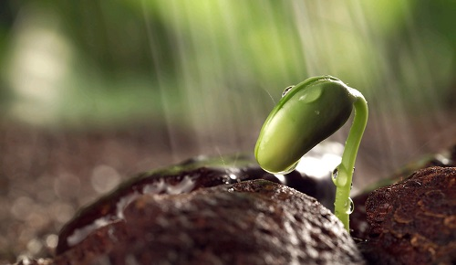 科學儀器---土壤養(yǎng)分快速測試儀土壤養(yǎng)分測量效果如何？