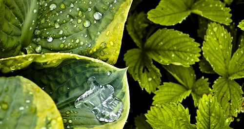 常用的土壤儀器都有哪些