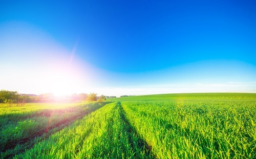 為什么土壤重金屬快速檢測儀備受矚目？