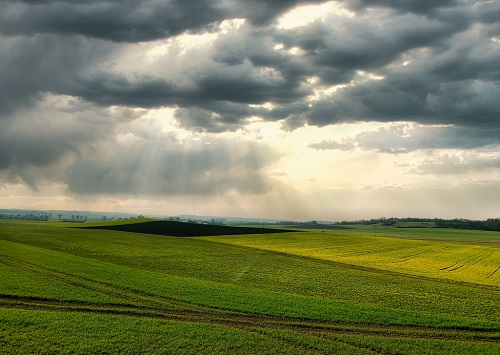 土壤墑情監(jiān)測站，為農(nóng)業(yè)提供科學建議！
